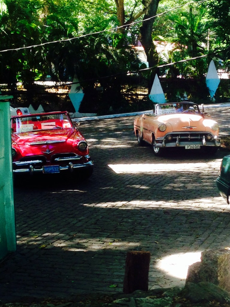 Classic cars in the city jungle