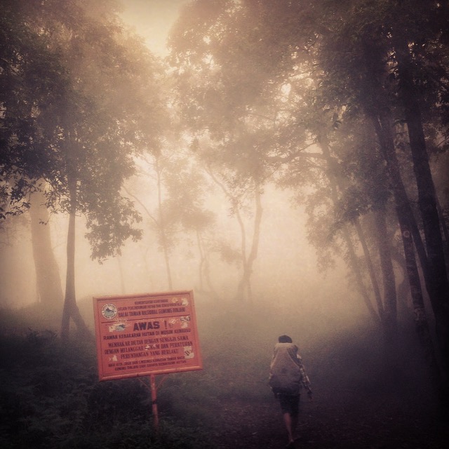 Will we ever find the lunch stop in the mist??