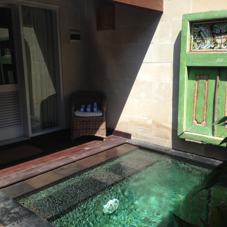 Private plunge pool room!