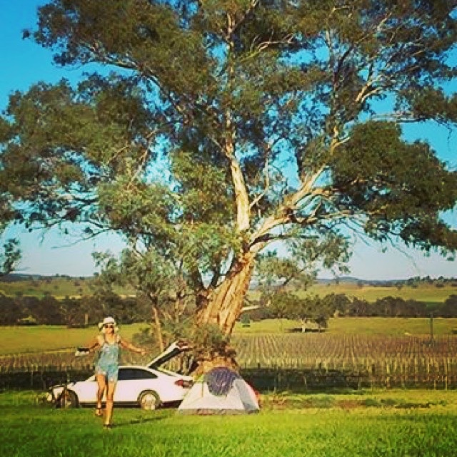 Frolicking in the fields