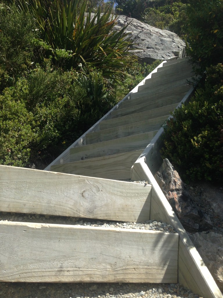 The steps go on....and on....