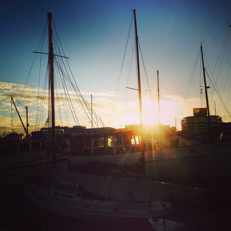Morning at the harbour
