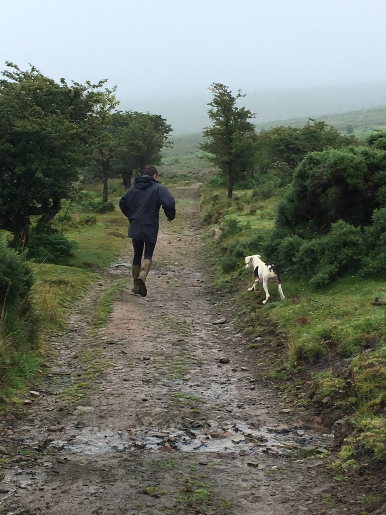 Adopted for the walk