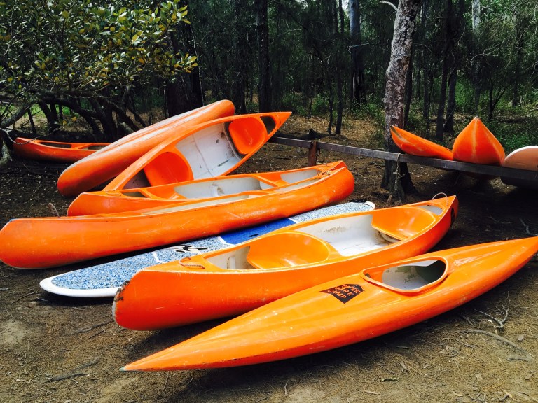 Eeeny, meeny, miney, LEAK!